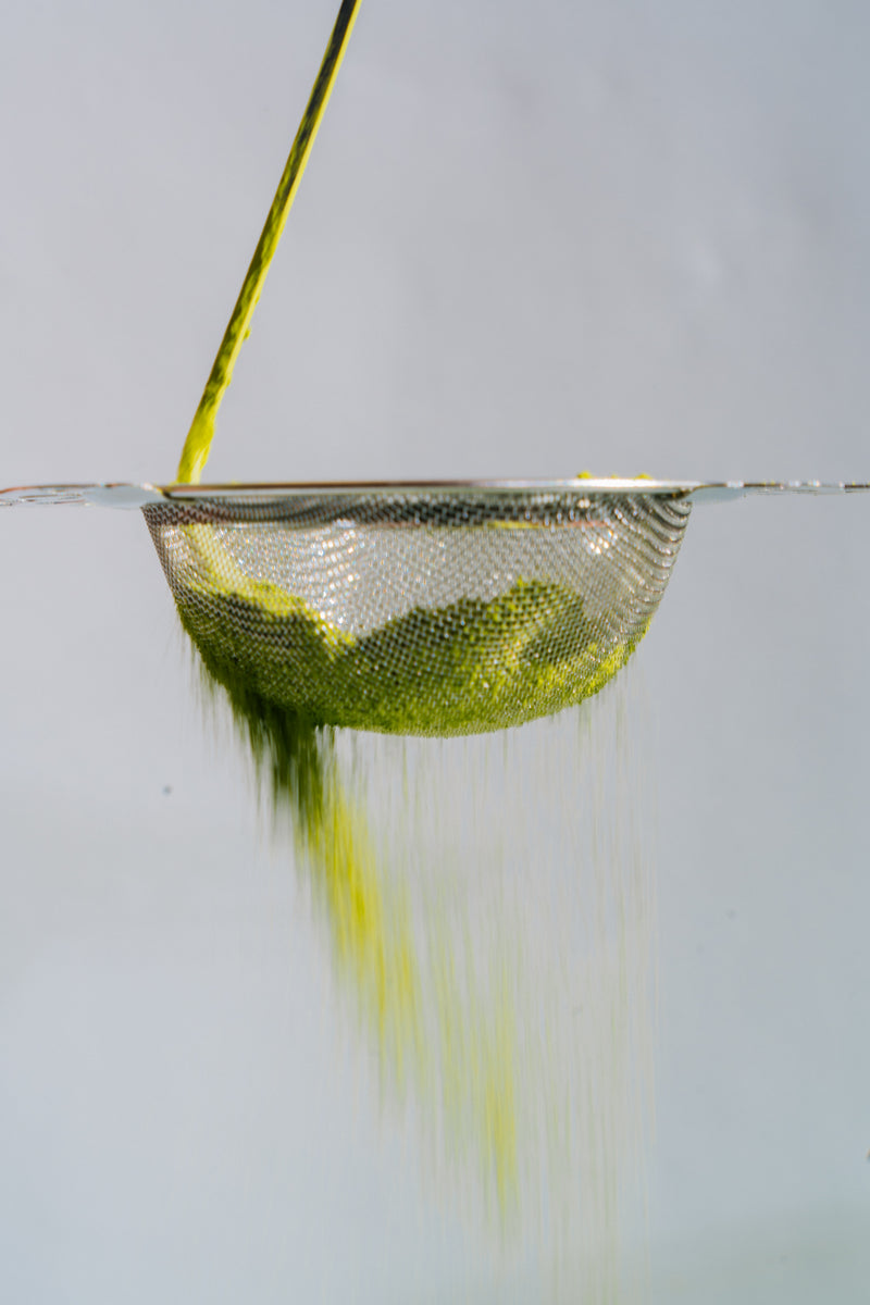 Matcha Sifter (Sieve)