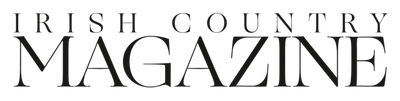 Publication logo