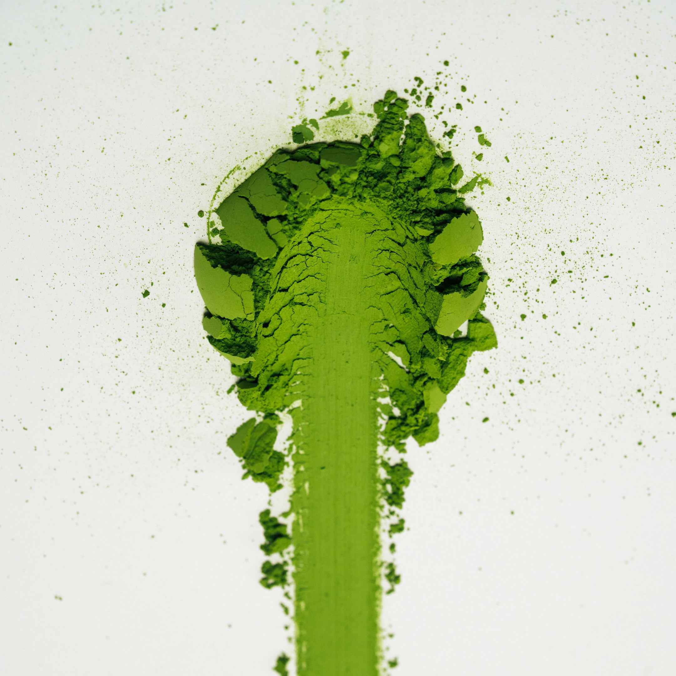 Mafia Matcha Mitsu ceremonial matcha powder detail, deep green Aichi Japan